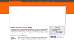 Desktop Screenshot of braventis.com